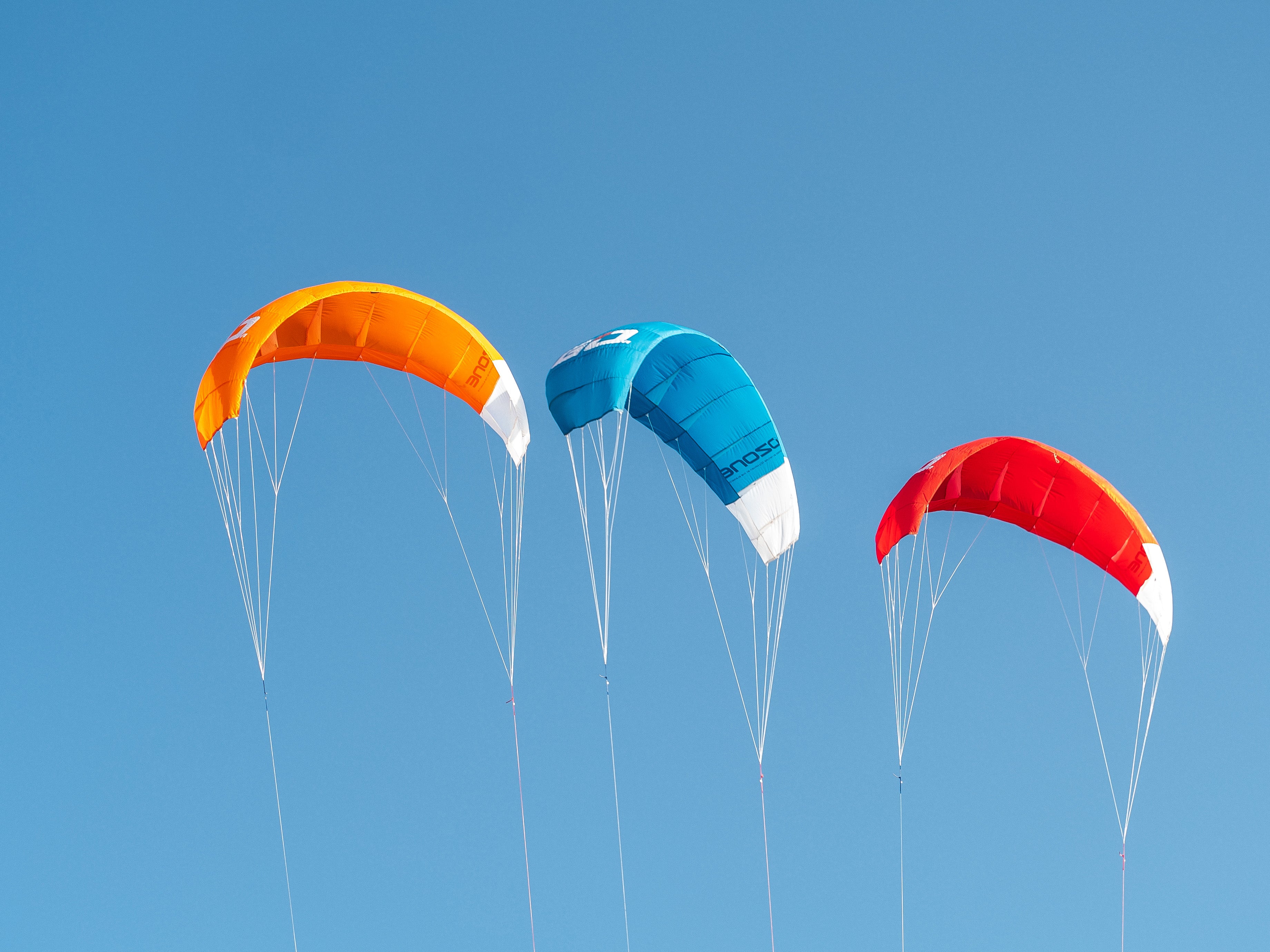 Go Kite (Trainer Kite)